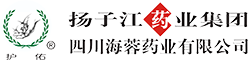 开云手机官方网站
